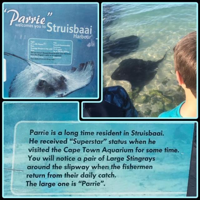 Apartmán C-Pampoentjie Struisbaai Exteriér fotografie